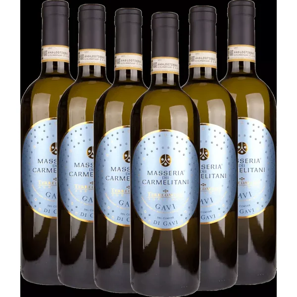 6er Vorteils-Weinpaket - Masseria Dei Carmelitani Gavi di Gavi DOCG - Vite Colte