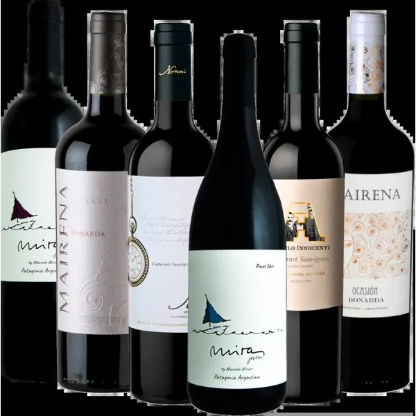Trésors cachés de vin d'Argentine par VINELLO - Pack de découverte de 6 bouteilles