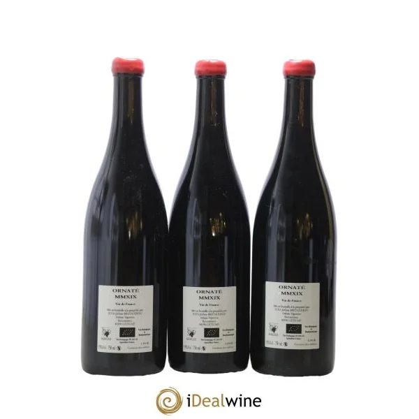 Vin de France Merlot Ornaté Jérôme Bretaudeau - Domaine de Bellevue 2019